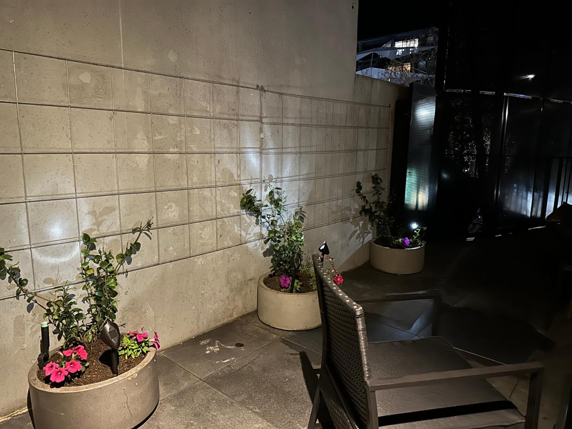 Palko - Luxury In The City Camberra Exterior foto